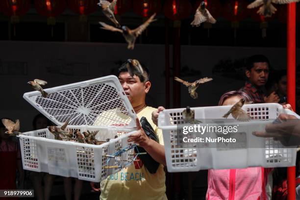 Indonesian ethnic Chinese releases birds, which is believed to bring good luck as a part of Chinese Lunar New Year celebrations at Petak Sembilan...