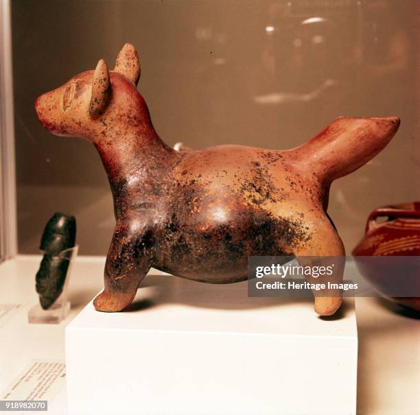 Pottery vessel of Ancient breed of Mexican dog, Colima Culture, Mexico, 300-900. The Thecichi is a hairless and barkless dog fattened for eating and...