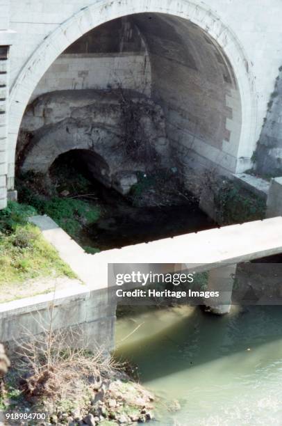 Cloaca Photos and Premium High Res Pictures - Getty Images