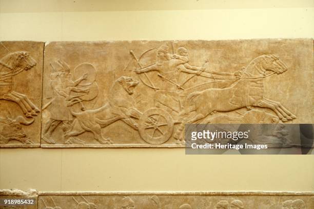 Ashurnasirpal II killing lions, c645 BC-635 BC. The royal Lion Hunt of Ashurbanipal. Assyrian palace relief from the North Palace of Nineveh,...