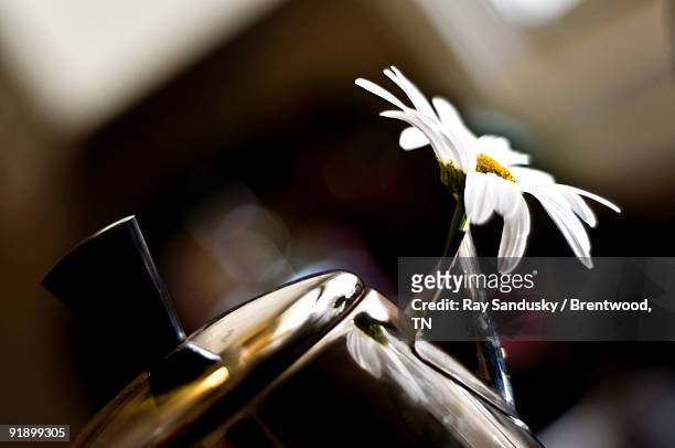 coffee pot  - brentwood tennessee stock pictures, royalty-free photos & images