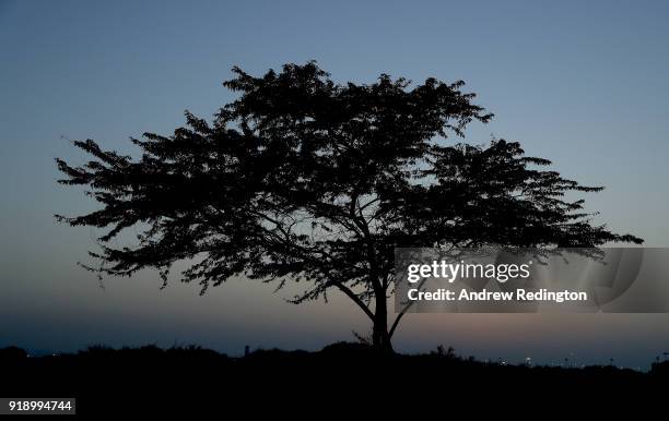 General view of a tree on the 18th hole during the second round of the NBO Oman Open at Al Mouj Golf on February 16, 2018 in Muscat, Oman.