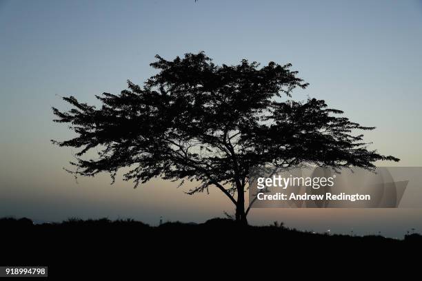 General view of a tree on the 18th hole during the second round of the NBO Oman Open at Al Mouj Golf on February 16, 2018 in Muscat, Oman.