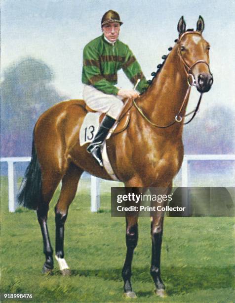 Wragg', 1939. Winner of the Greenham Plate at Newbury in 1938. From Racehorses & Jockeys, 1938 - A Series of 40. [W. D. & H. O. Wills, Bristol,...