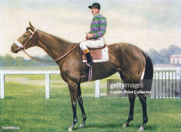 Guimard', 1939. French mare, Helleniqua, was the winner of the Cambridge Stakes in 1938. From Racehorses & Jockeys, 1938 - A Series of 40. [W. D. &...