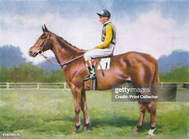 Morgan', 1939. Winners of Cheltenham Gold Cup in 1938. Danny Morgan, had the distinction of riding for three kings of England, winning for two -...