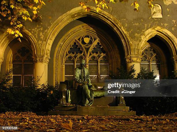 alone in autumn - vajdahunyad castle stock pictures, royalty-free photos & images