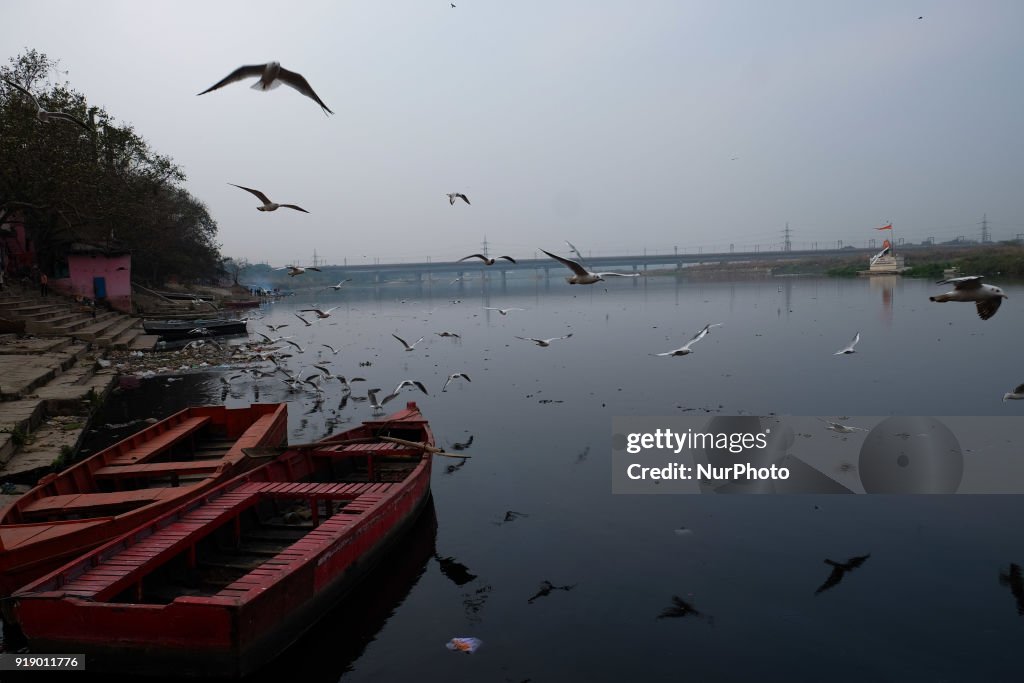 Pollution in New Delhi