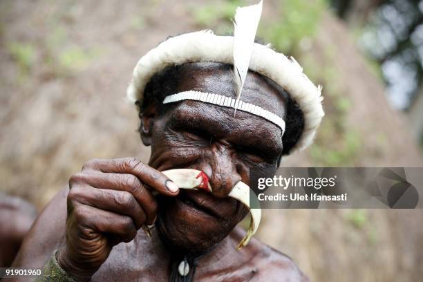 Man of the traditional, Dani tribe, from Lembah Baliem wears a nose piercing made from boar tusk on October 10, 2009 in Wamena, West Papua,...
