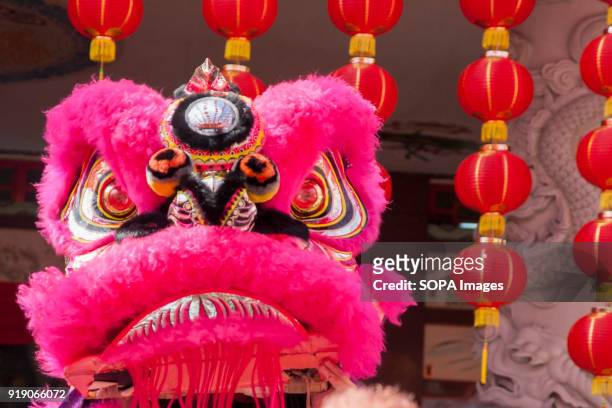 Lion head seen in front of a lanterns during the lion dance performance at the Thean Hou Temple on the first day of Chinese New Year. Chinese New...