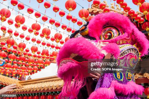 Lion head seen during the lion dance performance at the Thean Hou Temple on the first day of Chinese New Year to see the lion dance performance....