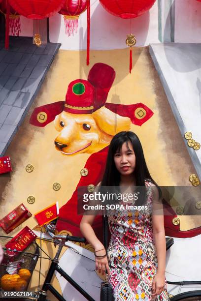 Lady seen in front of a big poster showing the dog year at the Thean Hou Temple on the first day of Chinese New Year. Chinese New Year is the first...