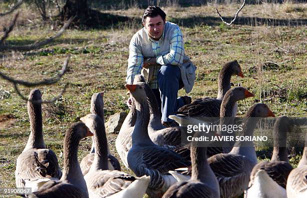Spanish foie gras maker Eduardo Sousa poses with his geese at his farm in Badajoz, southwest Spain, 13 December 2007. Sousa can't cope with the...