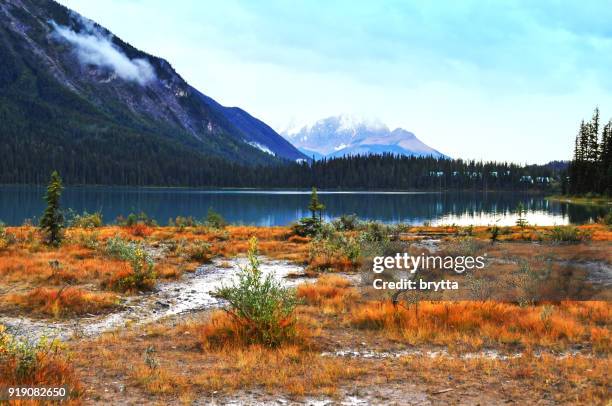 landscape surrounding emerald lake,yoho national park, canada - emerald lake stock pictures, royalty-free photos & images