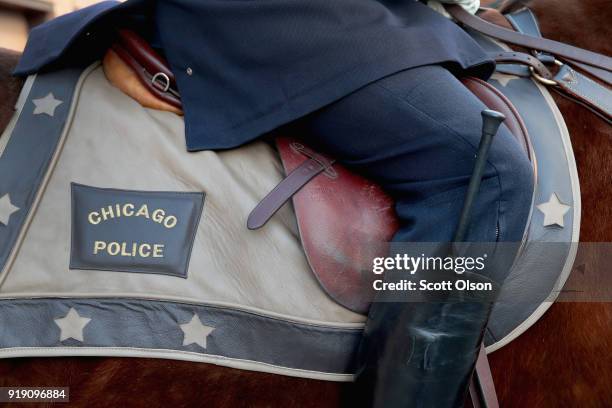 Chicago mounted police honor Commander Paul Bauer as his remains are carried into the Nativity of Our Lord church in the Bridgeport neighborhood on...