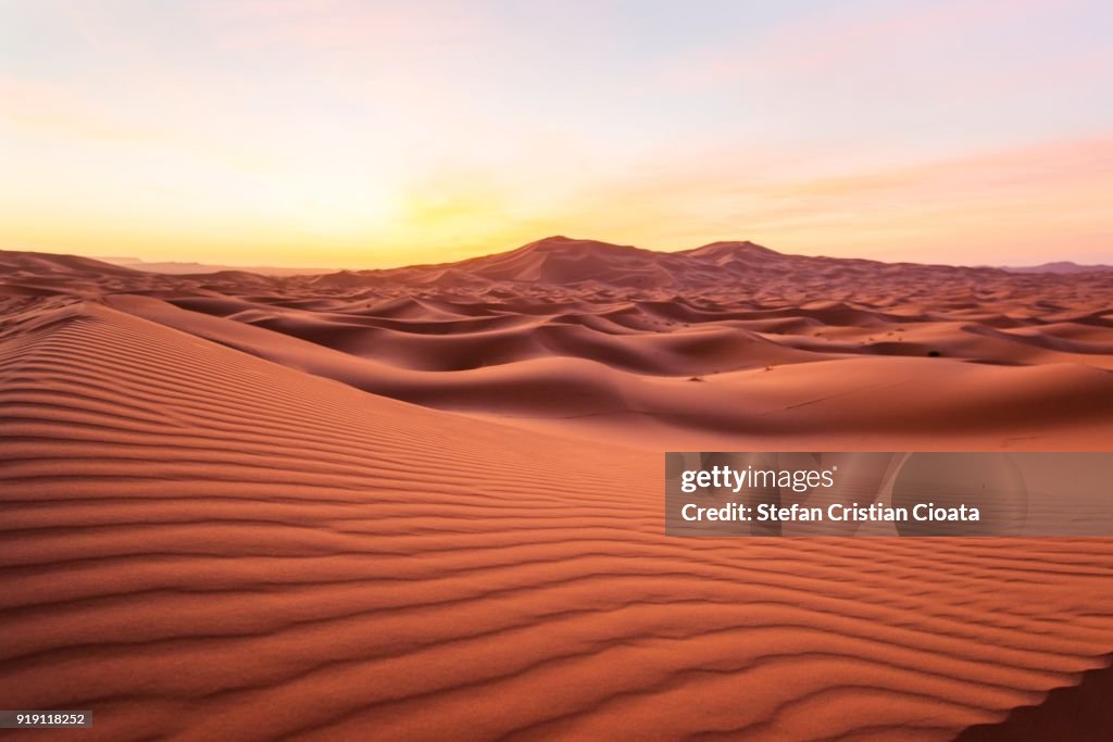 Sahara desert at sunrise