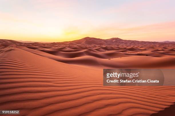 sahara desert at sunrise - merzouga stockfoto's en -beelden