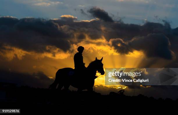 General view of horse and rider during trackwork at Flemington Racecourse on February 16, 2018 in Melbourne, Australia.