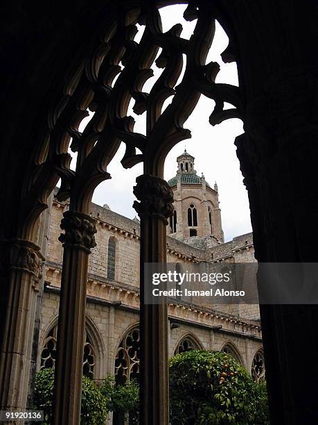 Santes Creus cisterciense Monastery of Santes Creus gothic Claustro