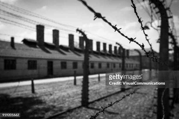 auschwitz concentration camp. - auschwitz concentration camp imagens e fotografias de stock