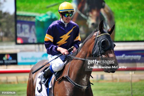 Louisville Lip ridden by Jason Benbow returns to the mounting yard after winning the Rising Sun Hotel Maiden Plate at Bendigo Racecourse on February...