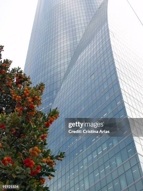 Tower Space. Four Torres Business Area CTBA. Madrid. Spain. The Tower Space is the fourth skyscraper upper of Spain and one of highest of Europe. It...