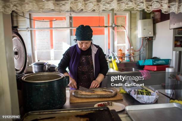 Woman prepares a North Korean-style sausage dish called abai sundae at a restaurant in Abai Village on February 17, 2018 in Sokcho, South Korea. Abai...
