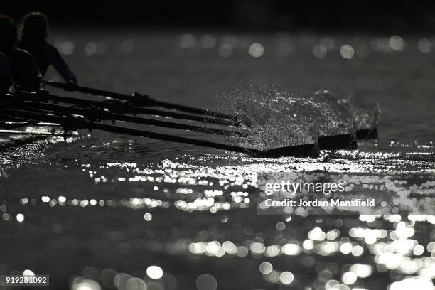 Oars move through the water during the Boat Race Trial race between Cambridge University Women's Boat Club and University of London on February 17,...