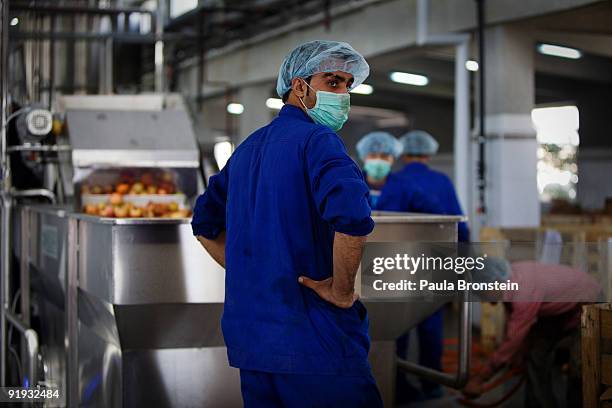 Afghanistan Pomegranates Photos and Premium High Res Pictures Getty