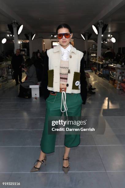 Doina Ciobanu attends the Molly Goddard show during London Fashion Week February 2018 at TopShop Show Space on February 17, 2018 in London, England.