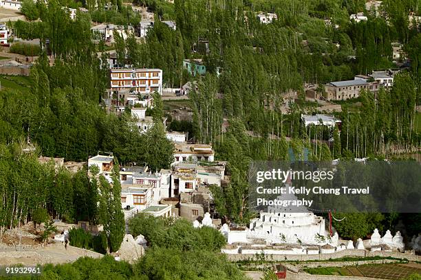 view from shanti stupa - tempel shanti stupa stock-fotos und bilder