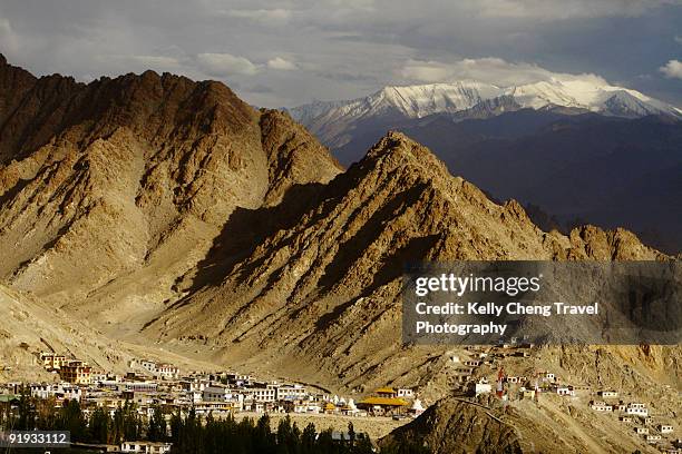 view from shanti stupa - tempel shanti stupa stock-fotos und bilder