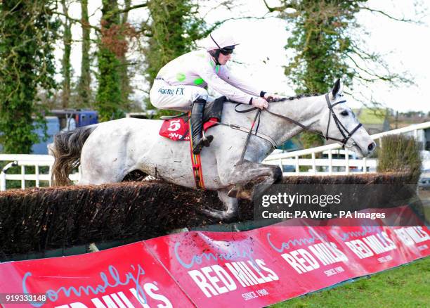 Some Neck and David Mullins wins the Gowran Park Beginners Steeplechase during Red Mills Raceday at Gowran Park Racecourse.