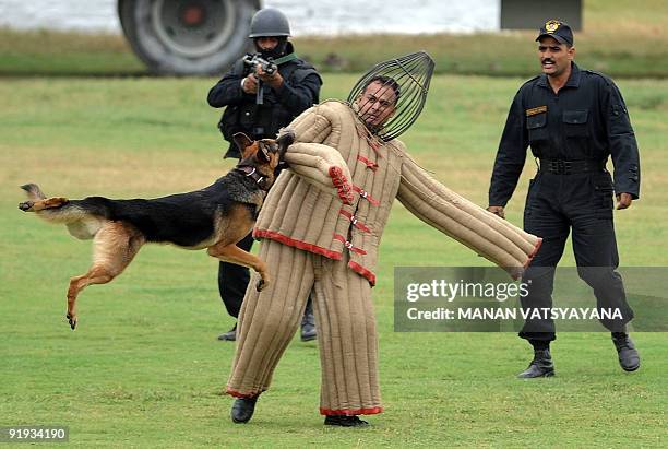 National Security Guards trained dog attacks a mock intruder during a function to celebrate the 25th NSG Raising day in Gurgaon, around 50 kms south...
