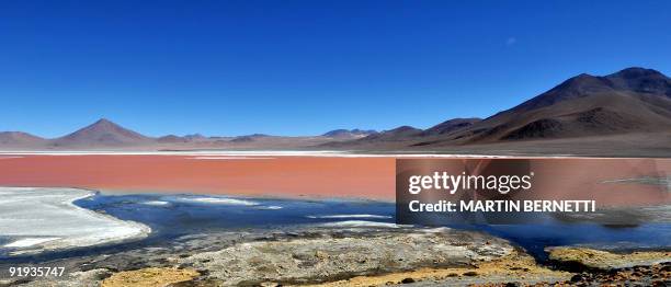 General view of Laguna Colorada located in the Eduardo Abaroa Andean National Fauna Reserve in the highlands of San Luis, near the border with Chile,...