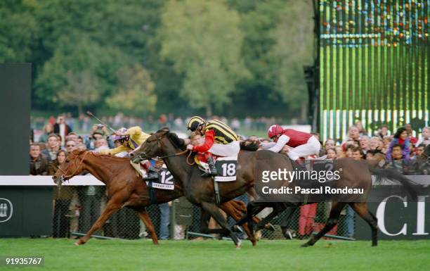 French racehorse Urban Sea wins the Prix de l'Arc de Triomphe at Longchamp Racecourse in Paris, October 1993. She is being ridden by jockey Eric...