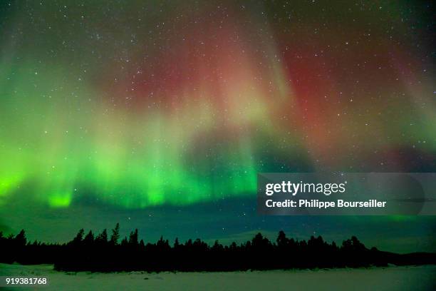 Polar aurora is a luminous phenomenon characterized by extremely colourful veils in the night sky, with green being predominant. Caused by the...