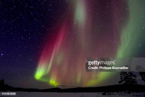 Polar aurora is a luminous phenomenon characterized by extremely colourful veils in the night sky, with green being predominant. Caused by the...