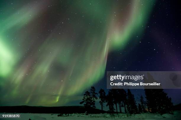 Polar aurora is a luminous phenomenon characterized by extremely colourful veils in the night sky, with green being predominant. Caused by the...