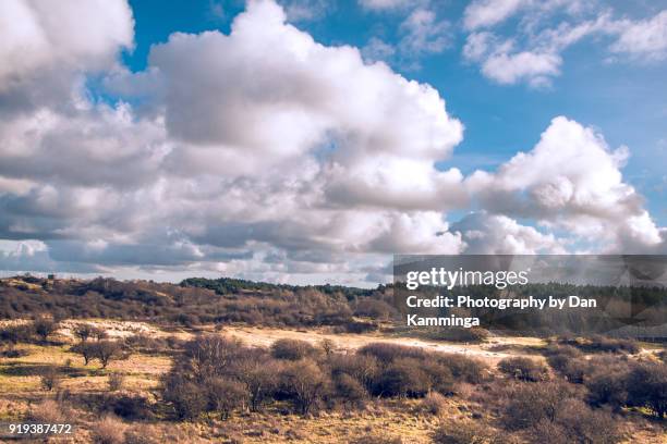 kennemer dunes in holland with beautiful blue cloudy dutch skies - sand dune stock pictures, royalty-free photos & images
