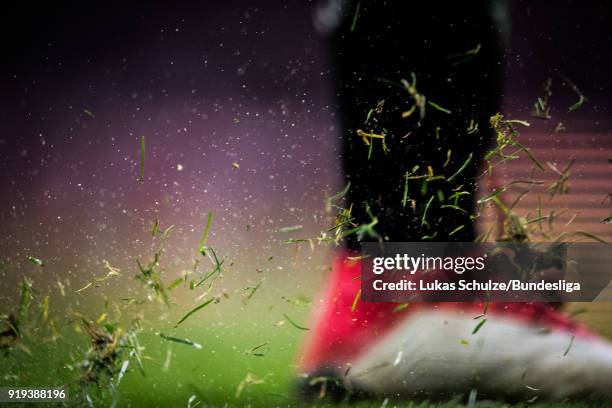 Gras of the pitch is seen after a free-kick during the Bundesliga match between 1. FC Koeln and Hannover 96 at RheinEnergieStadion on February 17,...