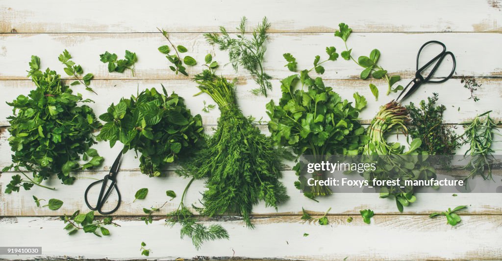 Various fresh green kitchen herbs