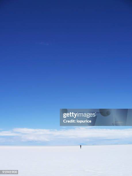 lost - uyuni stock pictures, royalty-free photos & images