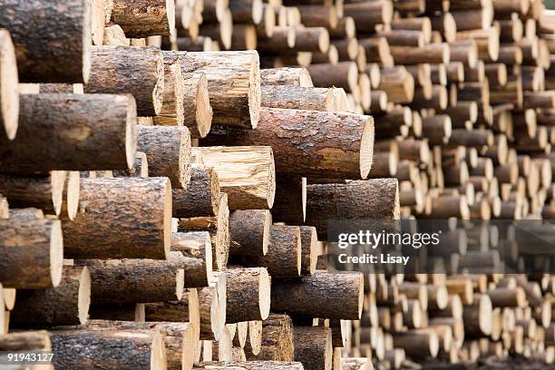 lots of log ends - pulp stock pictures, royalty-free photos & images