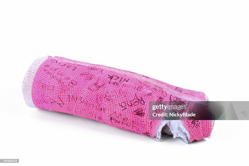 Rose Plâtre