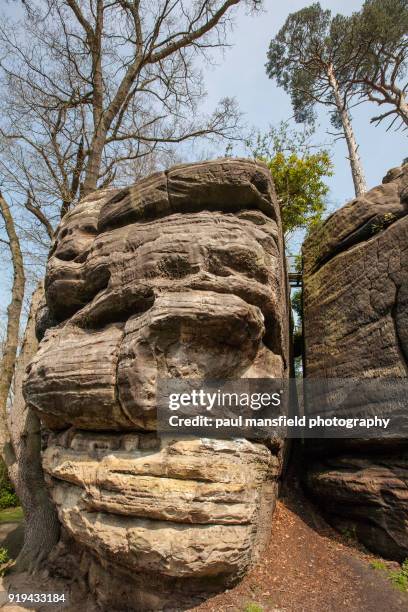 260 Eridge Stock Photos, High-Res Pictures, and Images - Getty Images