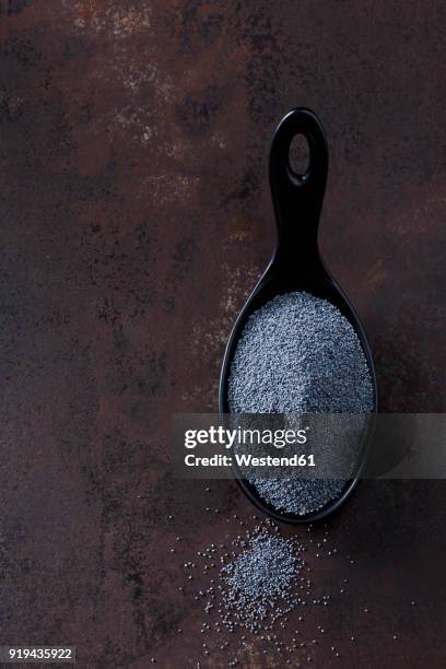 spoon of poppy seed on rusty metal - poppy seed stock pictures, royalty-free photos & images