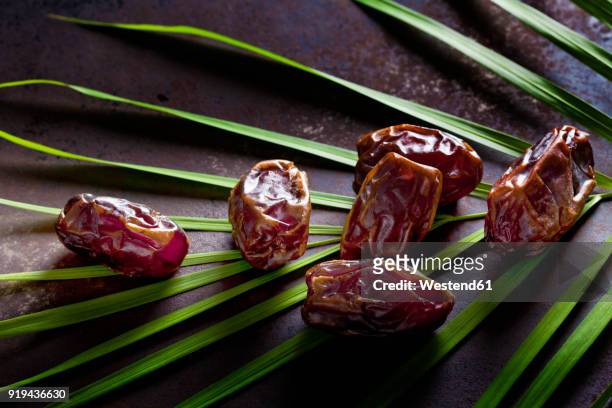 dates on palm leaf - dates fruit stock pictures, royalty-free photos & images