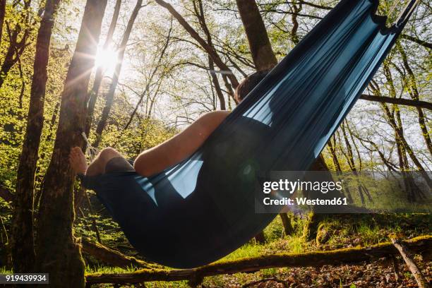 young man lying in hammock - eifel stock pictures, royalty-free photos & images