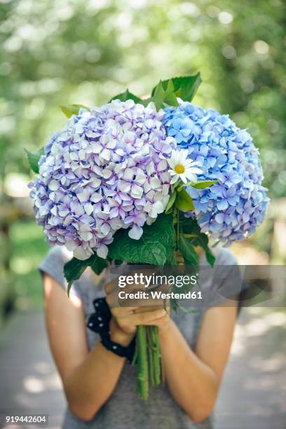 unrecognizable young woman hiding behind a bouquet of hydrangeas - hydrangea lifestyle stockfoto's en -beelden